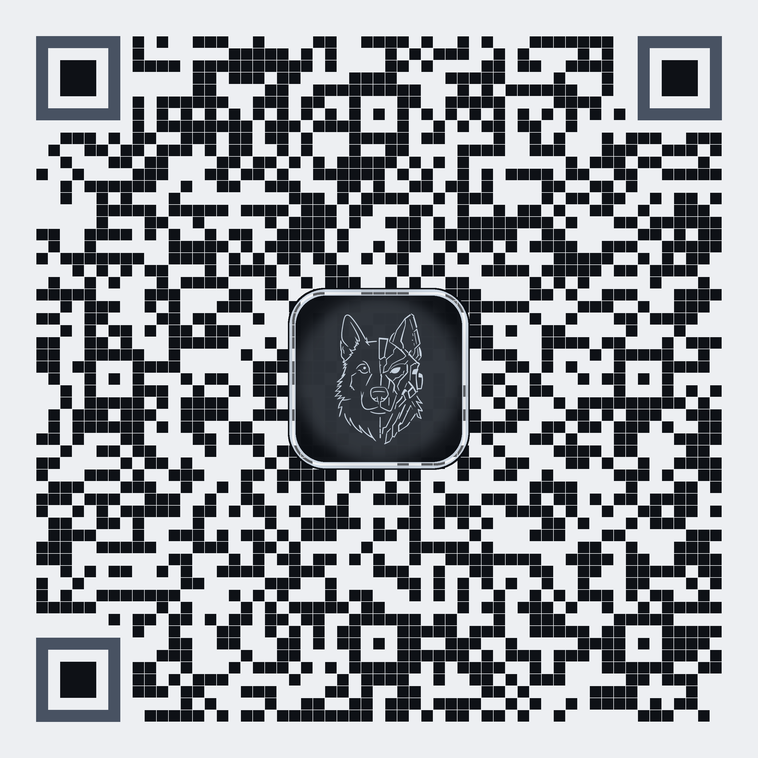 Codee Steel QRCodee